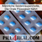 Männliche Seidenraupenmotte, Die Orale Flüssigkeit Nährt viagra4